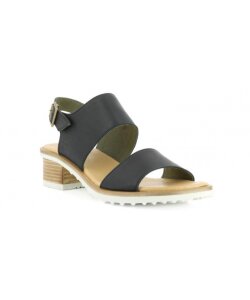 EL NATURALISTA N5010